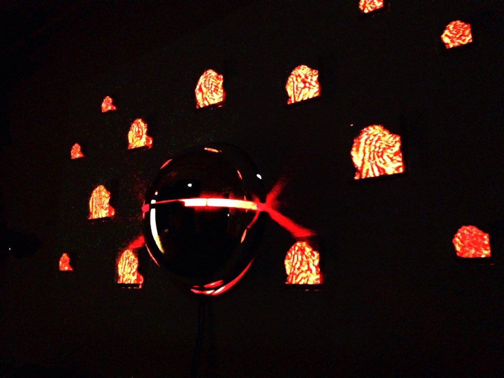 Panoptidrome Detecting Face